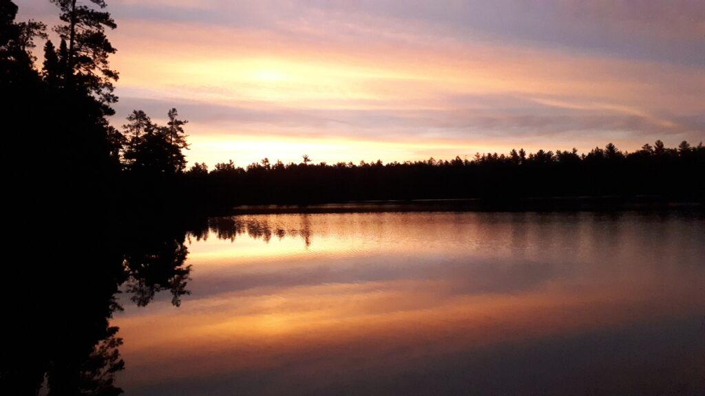 about us digital marketing consultants