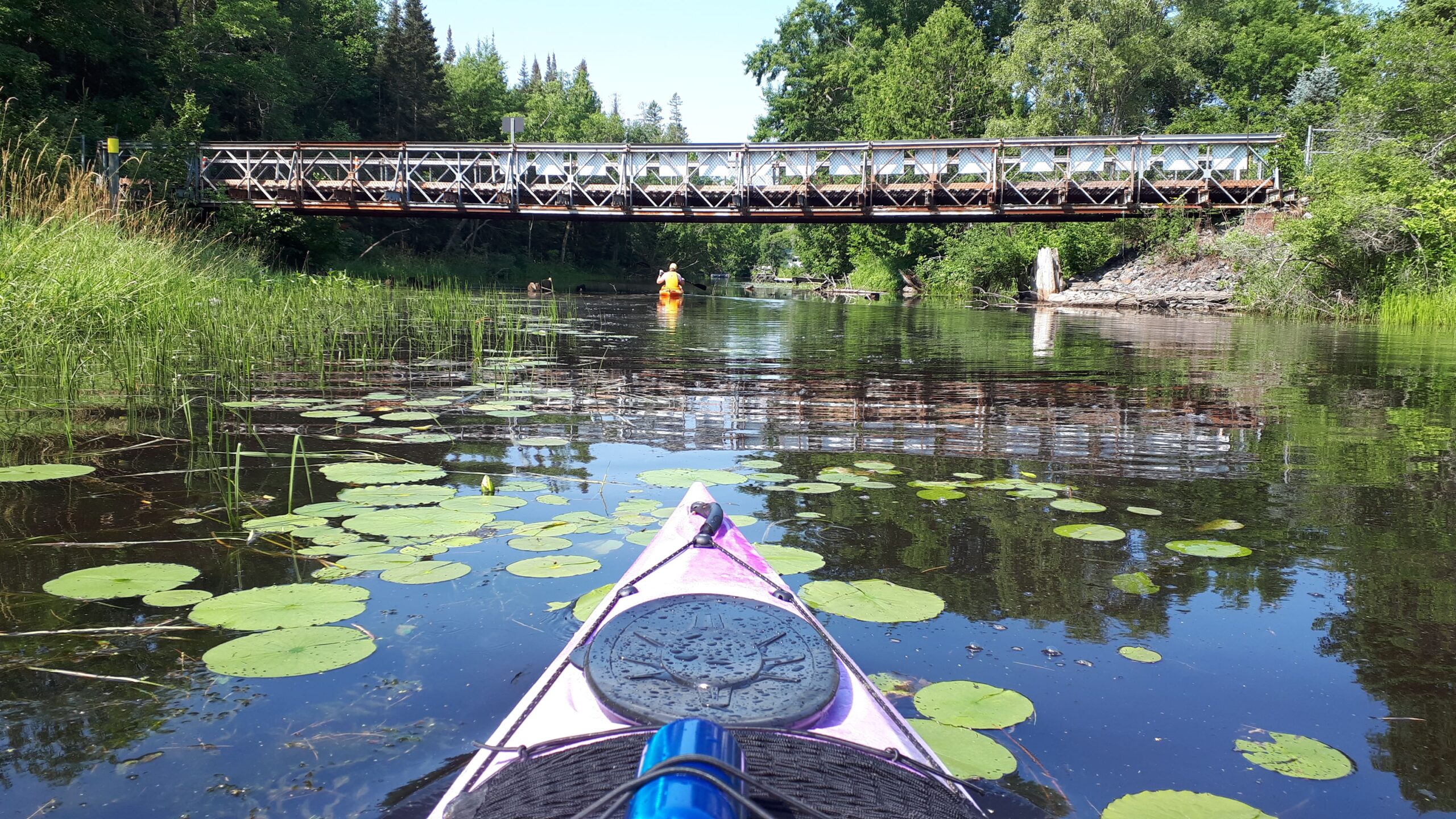 about us seo digital consultants